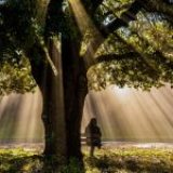 Si tu supieras de mi asquerosa vida