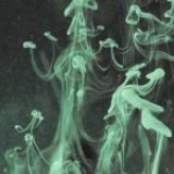 Cierra los ojos y visualiza