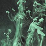 Cierra los ojos y visualiza