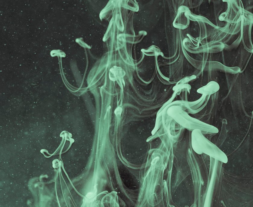 Cierra los ojos y visualiza