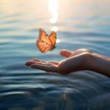 ¿Qué siente un espermatozoide?